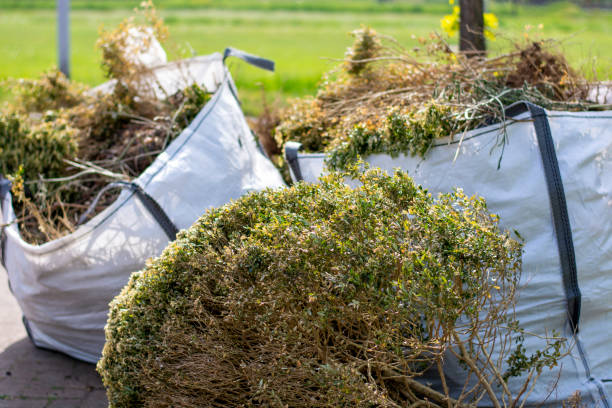 Trash Removal Near Me in Locust Fork, AL